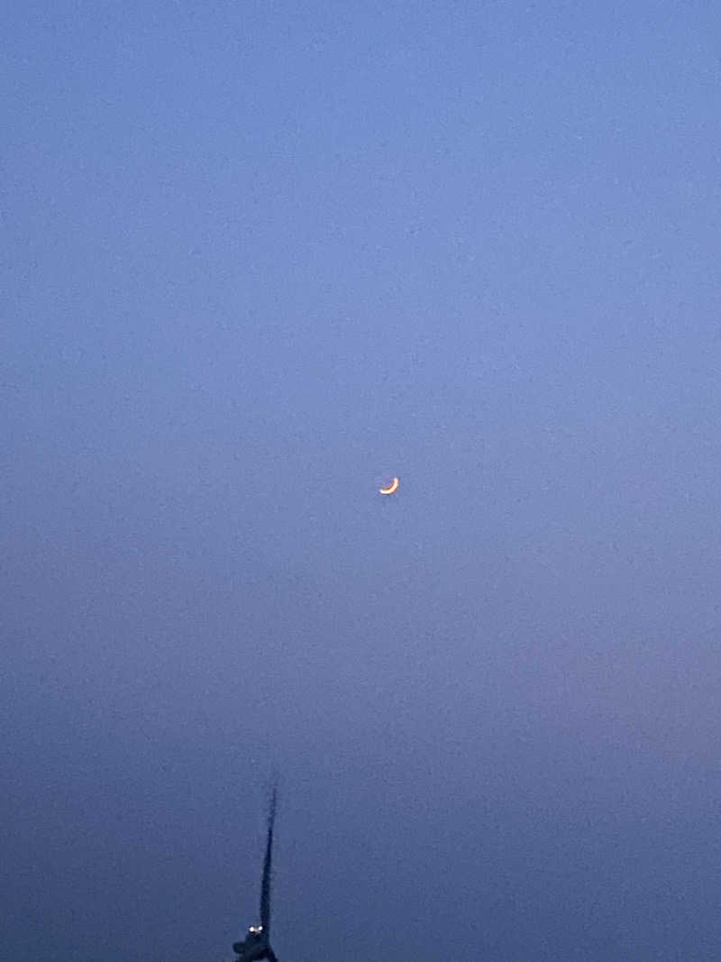 ペルソナさんのゆったりかんのサ活写真