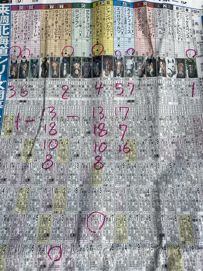 ペルソナさんのとままえ温泉ふわっとのサ活写真
