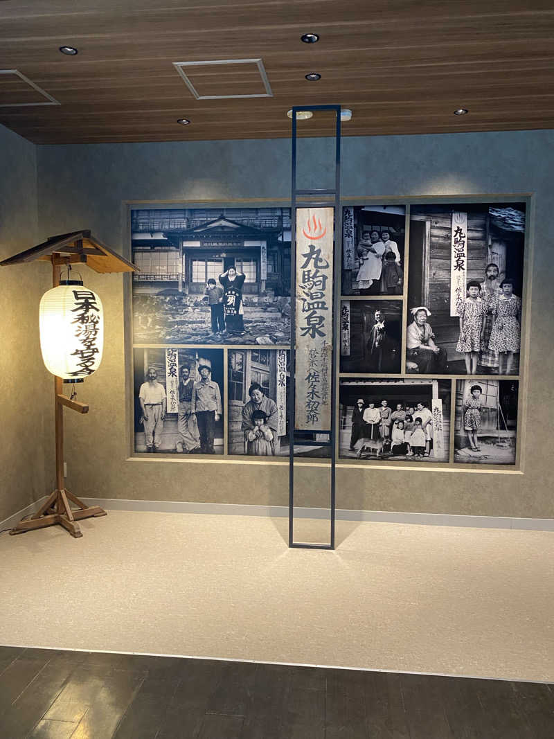 ペルソナさんの奥札幌の秘湯 湖畔の宿支笏湖 丸駒温泉旅館のサ活写真