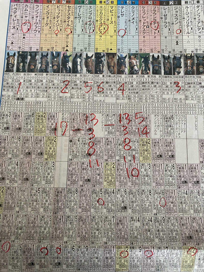 ペルソナさんの杜のSPA神楽のサ活写真