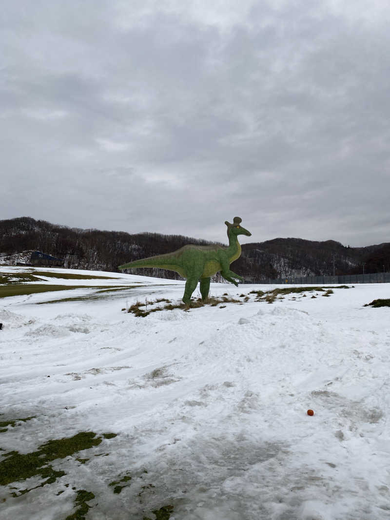 ペルソナさんのゆったりかんのサ活写真