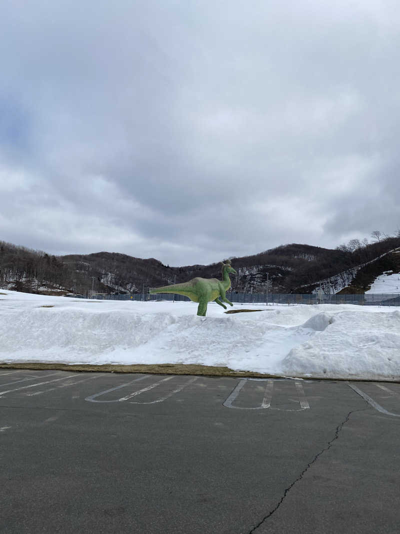 ペルソナさんのゆったりかんのサ活写真