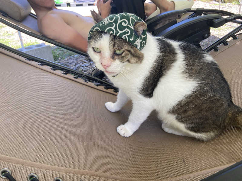 🥟さんのあおぞらサウナ-CAMPのサ活写真