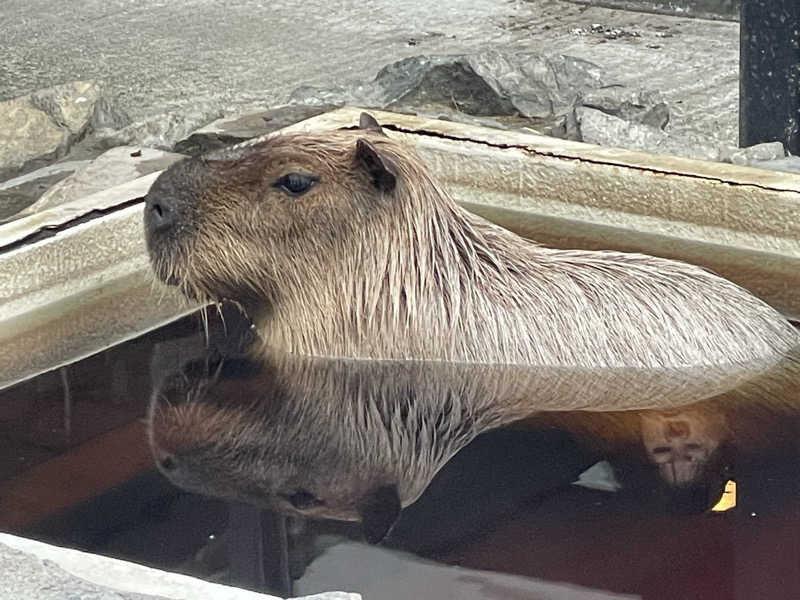 MiNaToさんの石狩天然温泉 番屋の湯のサ活写真
