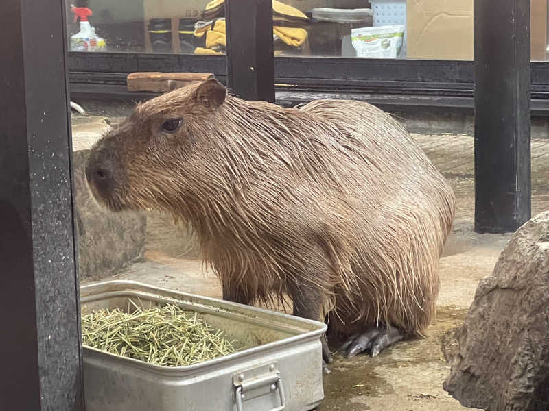 MiNaToさんの石狩天然温泉 番屋の湯のサ活写真