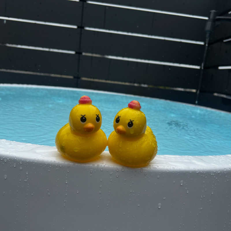 ゆうこりん𓆏さんのHOTEL & SAUNA FUJINOSのサ活写真