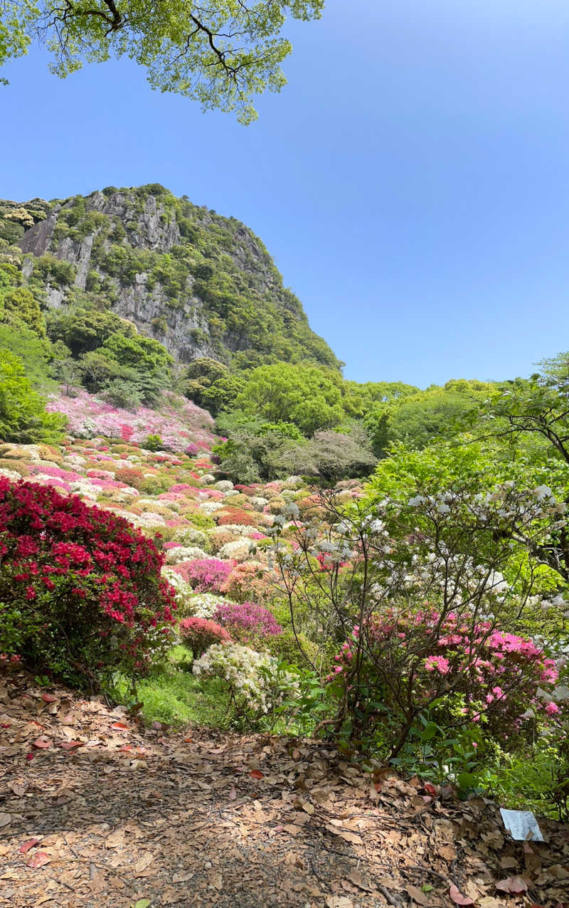 muuminnnさんの御船山楽園ホテル  らかんの湯のサ活写真