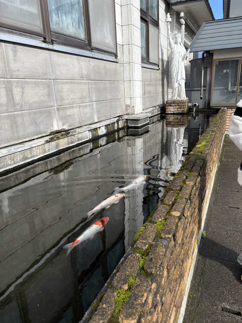 ♨️みどり蒸し🤢🧖‍♀️さんの宝温泉黒石のサ活写真