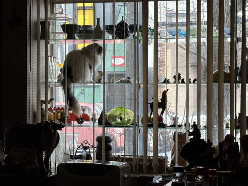 ♨️みどり蒸し🤢🧖‍♀️さんのかっぱのゆのサ活写真