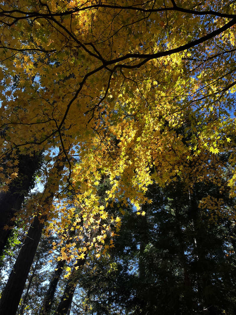 マッタリシタイさんのTAKAO36SAUNAのサ活写真