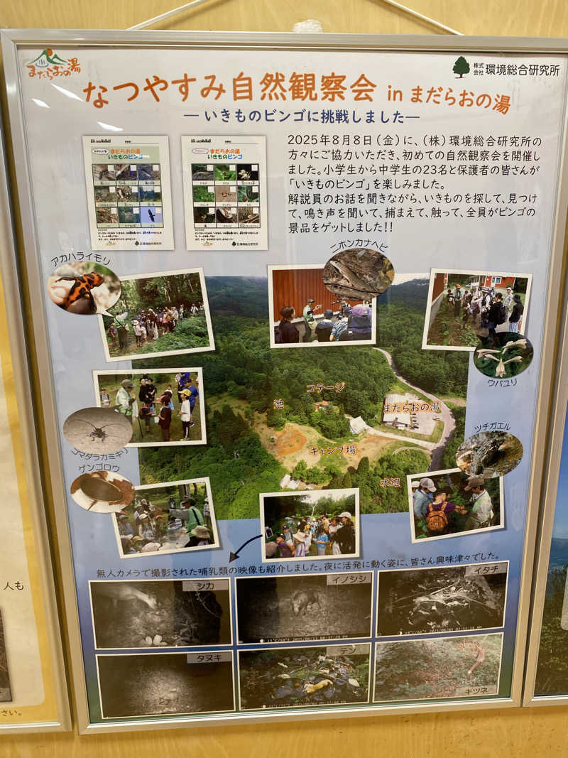 熱波不足さんのまだらおの湯のサ活写真