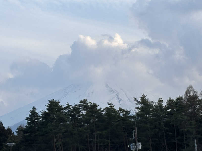ただのサウナ好きな会社員さんの鳴沢 いきやりの湯のサ活写真