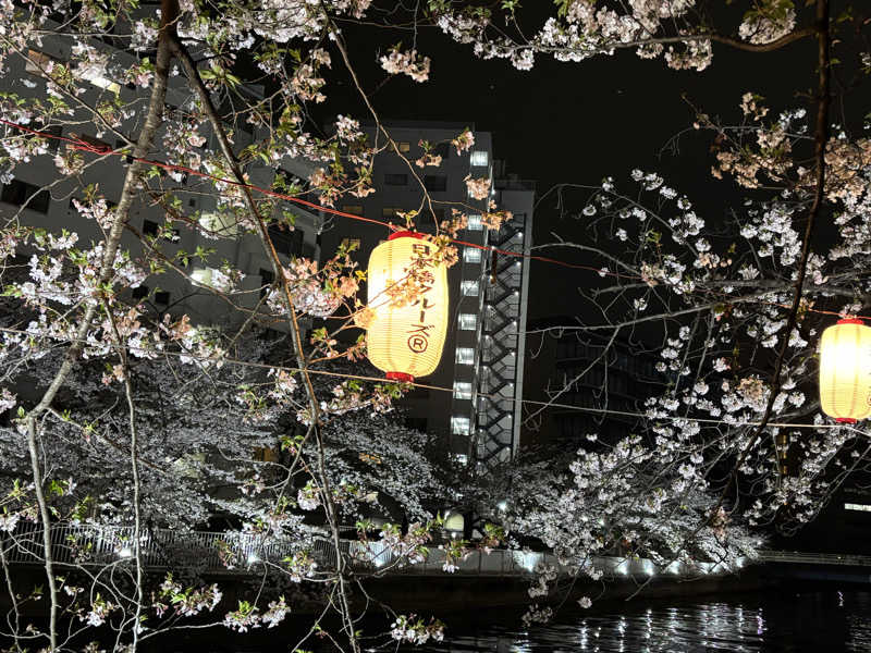 ただのサウナ好きな会社員さんの辰巳湯のサ活写真