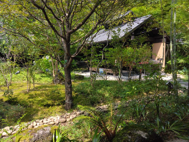 マサさんの箱根湯寮のサ活写真