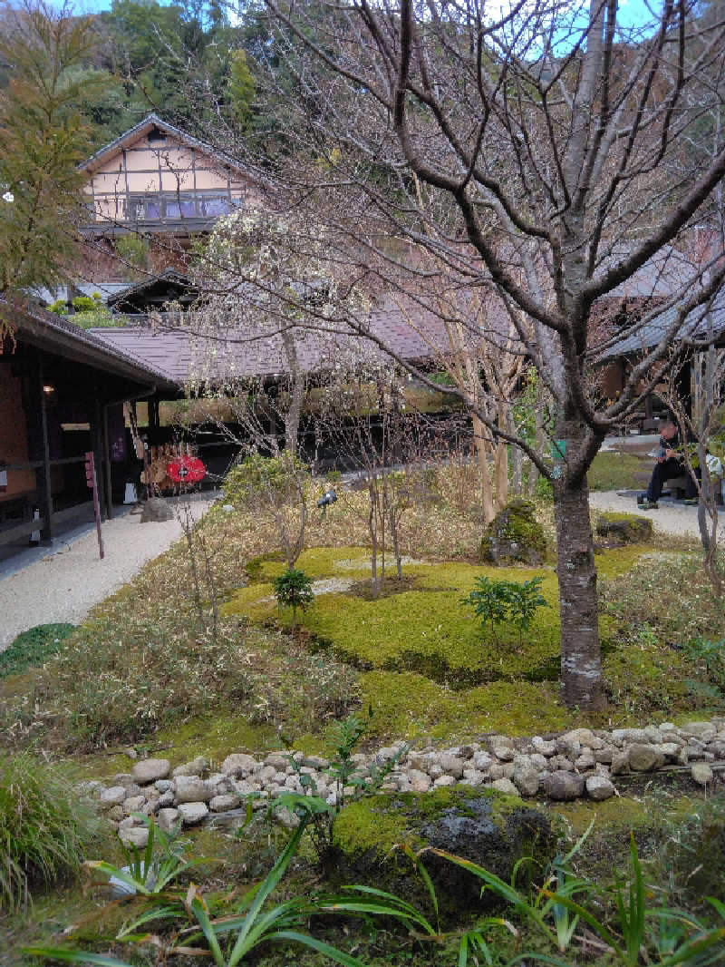 マサさんの箱根湯寮のサ活写真