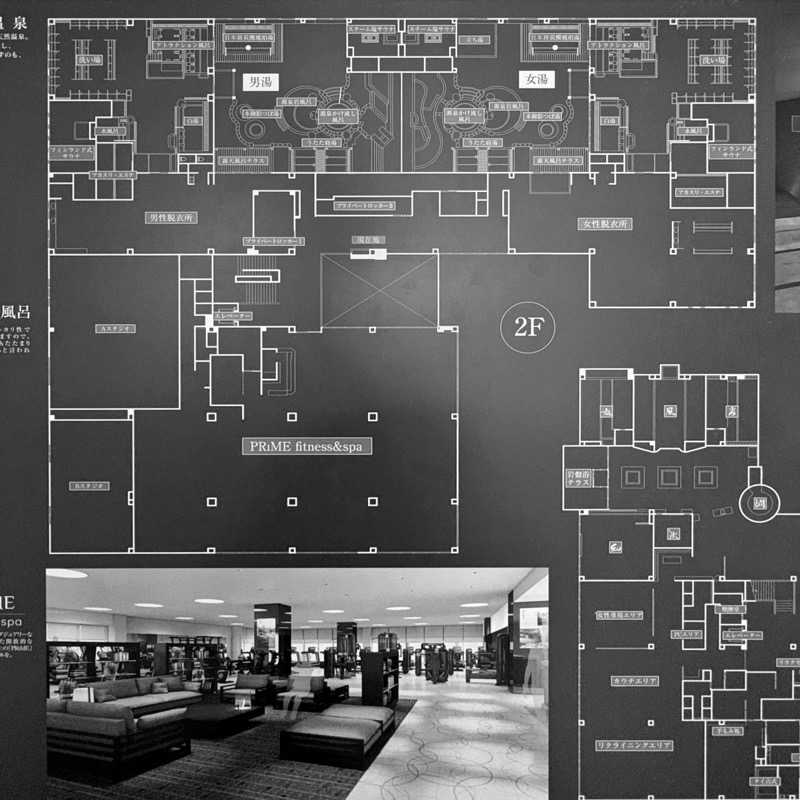 ライトネスさんの綱島源泉 湯けむりの庄のサ活写真