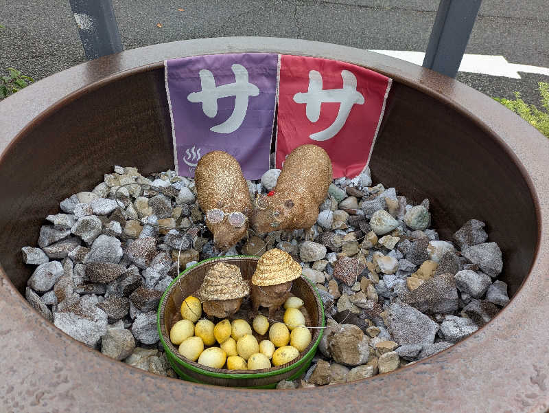 take-sick🐢さんの富士山天然水SPA サウナ鷹の湯のサ活写真