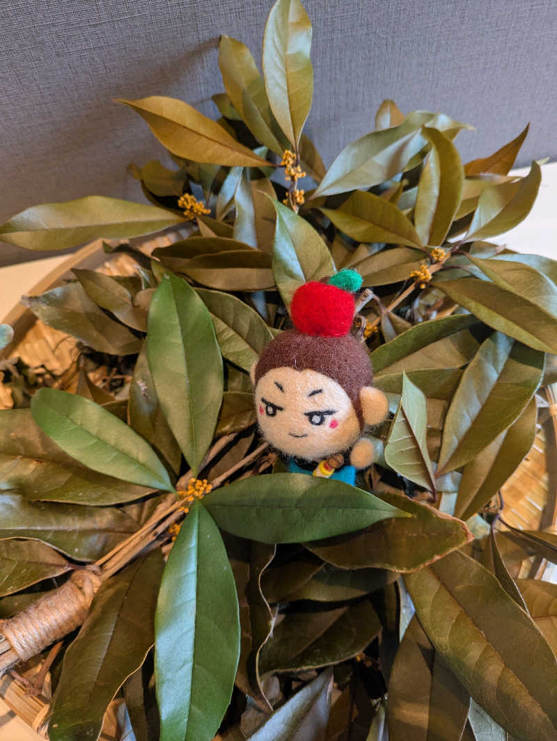 take-sick🐢さんの山賊サウナのサ活写真