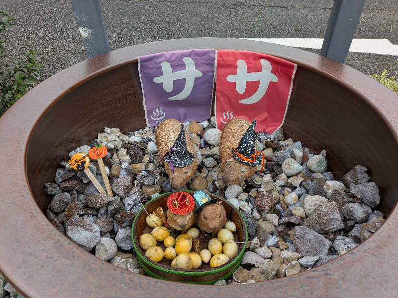 take-sick🐢さんの富士山天然水SPA サウナ鷹の湯のサ活写真