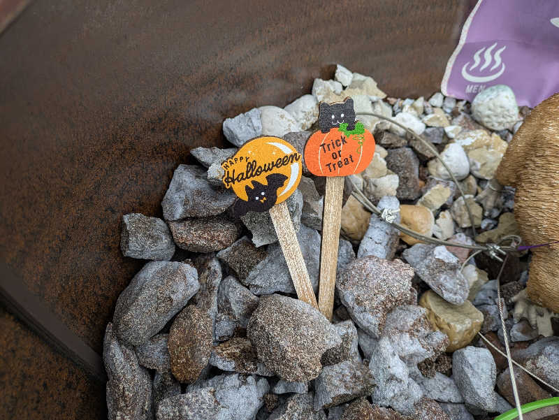 take-sick🐢さんの富士山天然水SPA サウナ鷹の湯のサ活写真