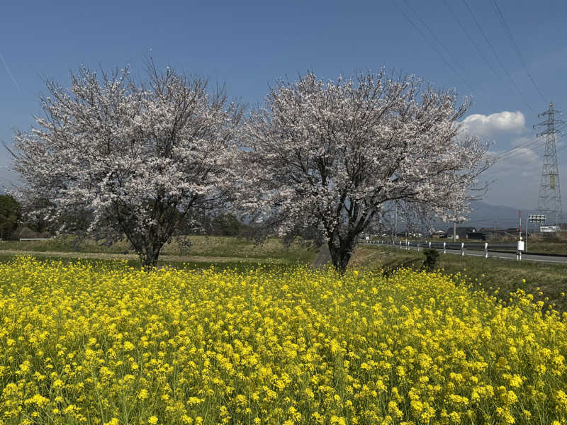 Saqalatさんの岸本温泉ゆうあいパル(パルプラスオン)のサ活写真