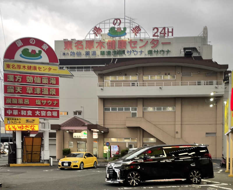 ヒラミレモンさんの湯の泉 東名厚木健康センターのサ活写真