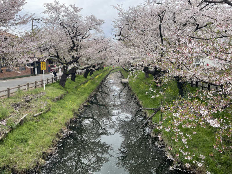 あはごんさんの小江戸温泉 KASHIBAのサ活写真