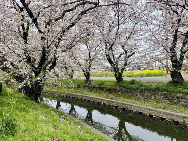あはごんさんの小江戸温泉 KASHIBAのサ活写真