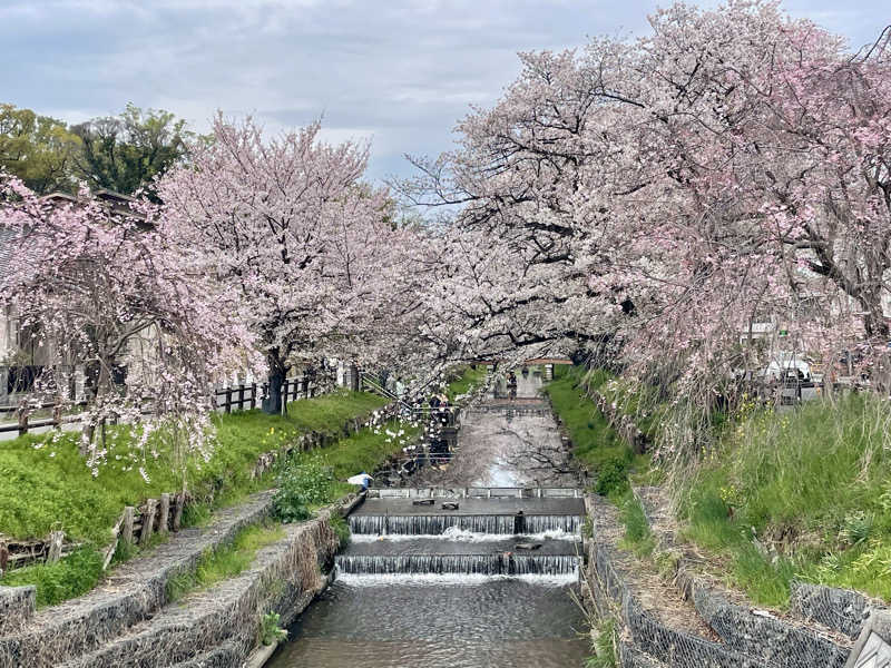 あはごんさんの小江戸温泉 KASHIBAのサ活写真