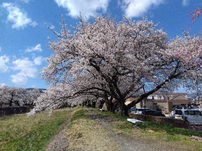 racoさんの美肌の湯 ロマネットのサ活写真