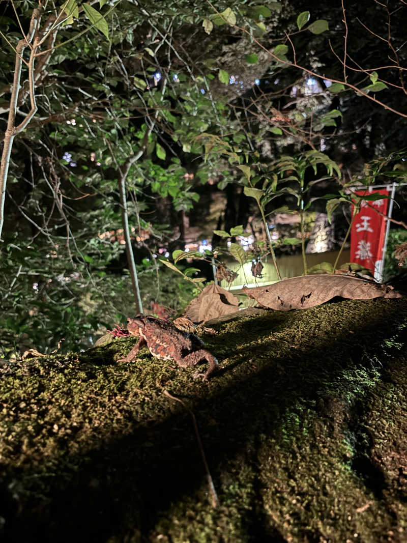 餃子娘🥟さんの箱根湯本温泉 天成園のサ活写真