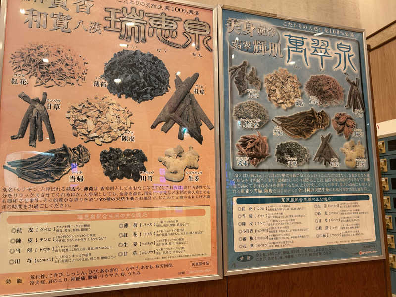 どんぐりさんのヨコヤマユーランド緑のサ活写真