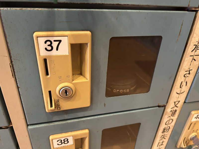 どんぐりさんのヨコヤマユーランド緑のサ活写真