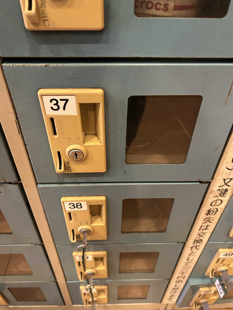 どんぐりさんのヨコヤマユーランド緑のサ活写真