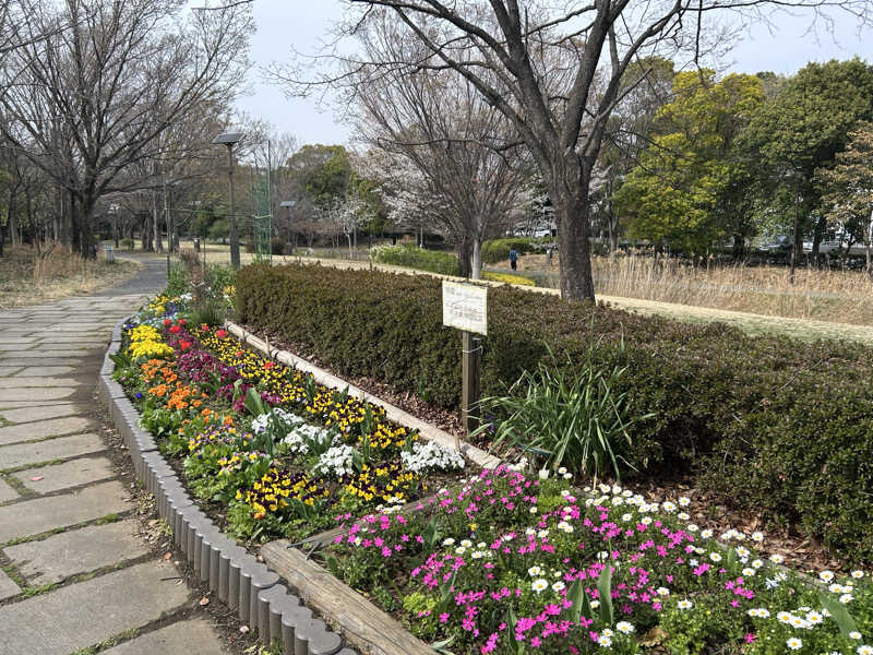 どんぐりさんの鷲の湯のサ活写真