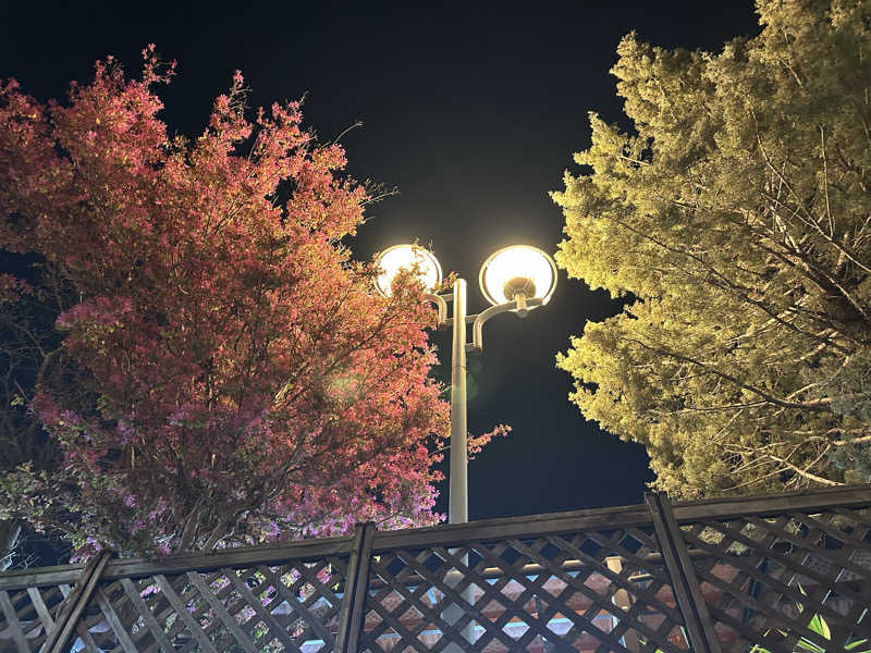 どんぐりさんのヨコヤマユーランド緑のサ活写真