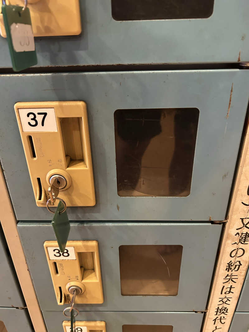どんぐりさんのヨコヤマユーランド緑のサ活写真