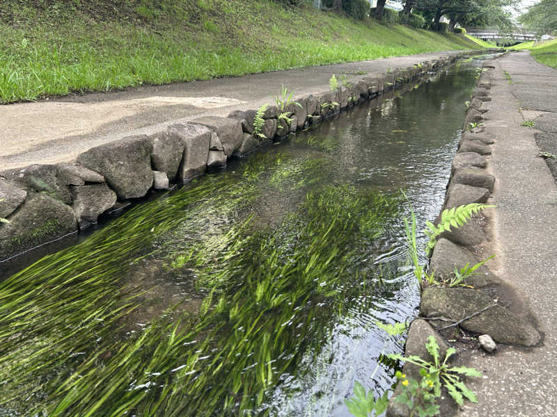 どんぐりさんの天然温泉すすき野 湯けむりの里のサ活写真