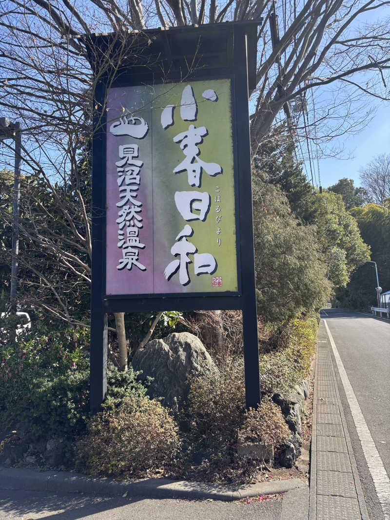 Kaoruさんの見沼天然温泉 小春日和のサ活写真