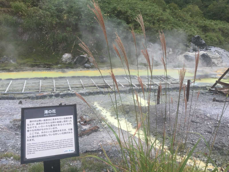 ららさんの玉川温泉のサ活写真