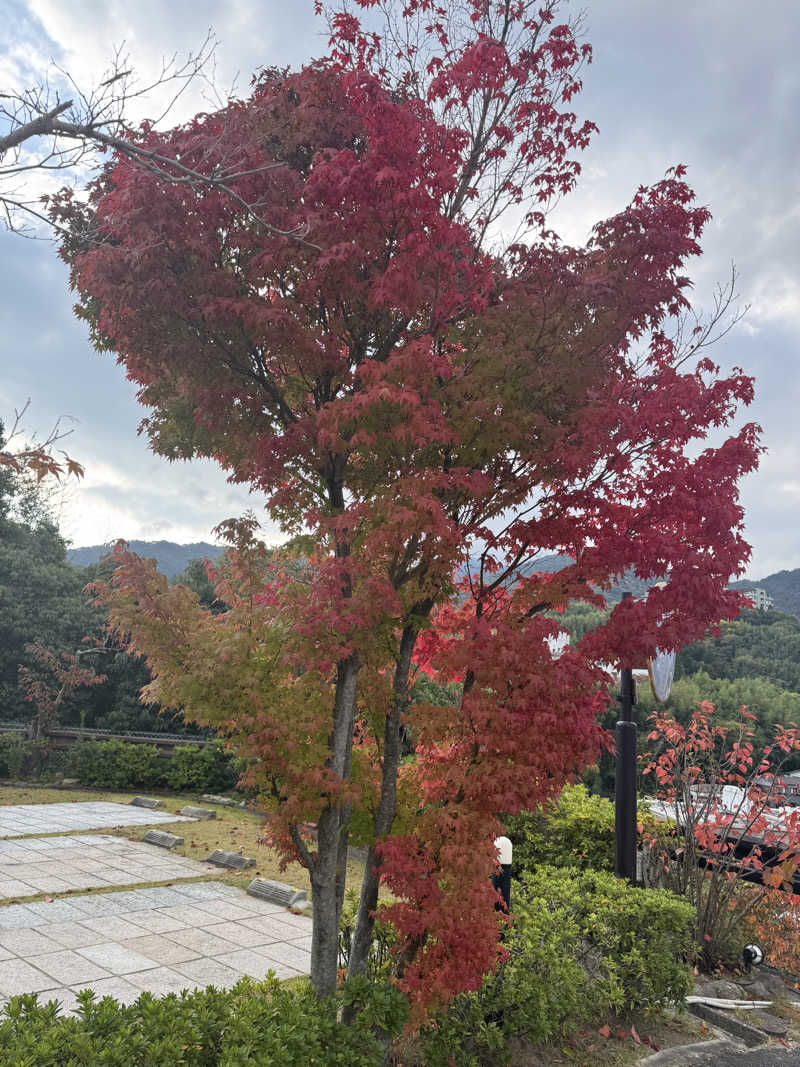 ららさんの銀水荘 兆楽のサ活写真