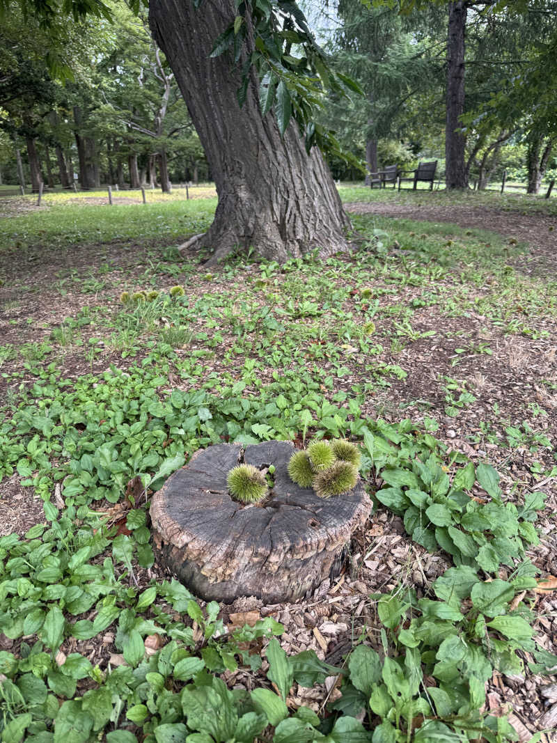 みのさんのスポーツクラブJOYFIT札幌北のサ活写真