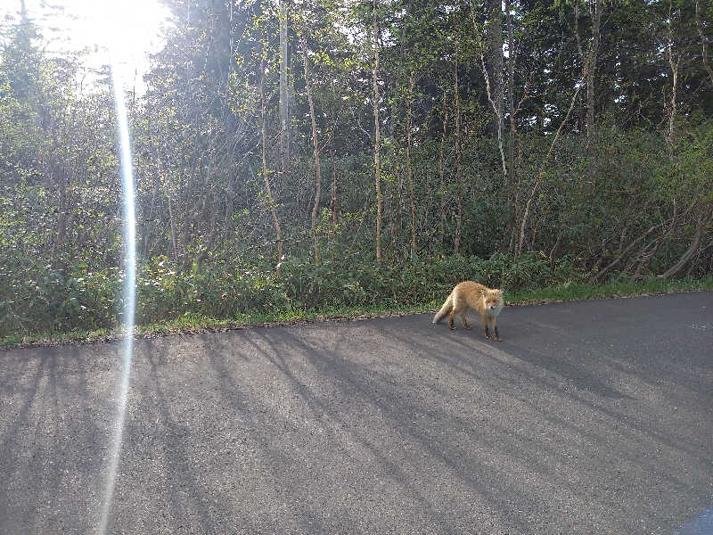 gaaaaaaaaaachanさんの吹上温泉保養センター 白銀荘のサ活写真