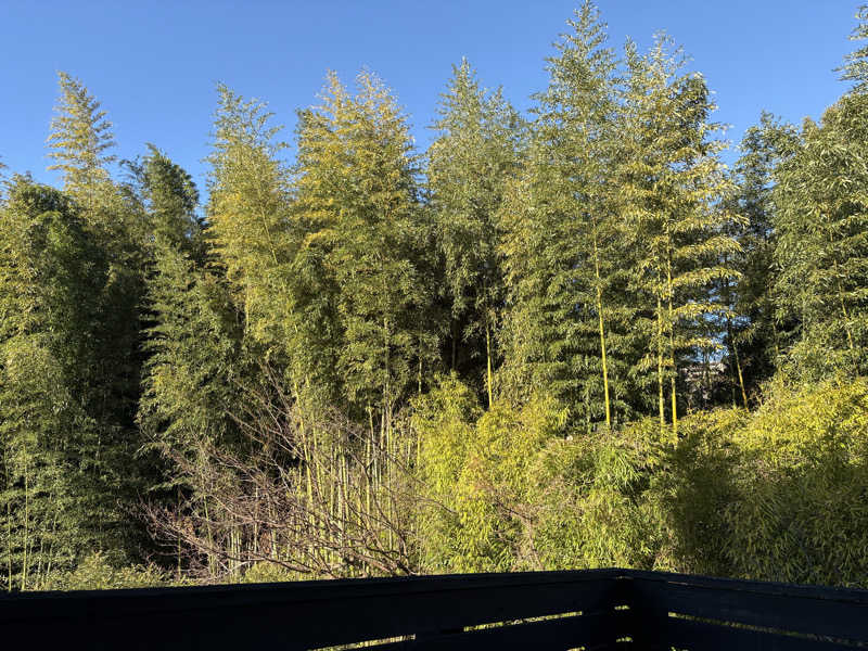 みりさんのふふ熱海のサ活写真