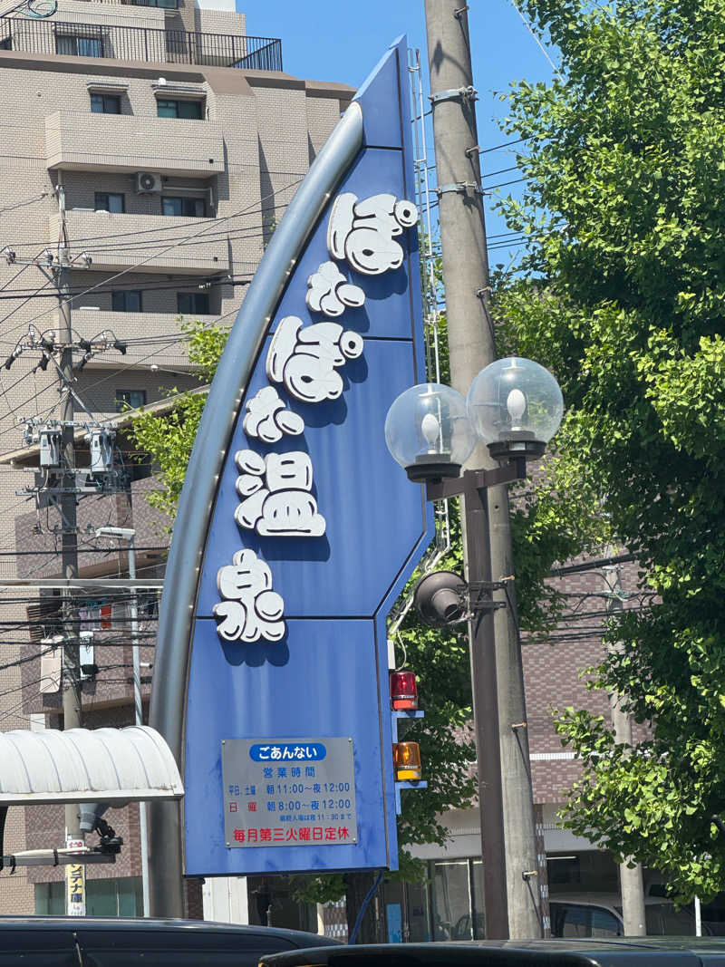 サウナ中毒さんのぽかぽか温泉 新守山乃湯のサ活写真