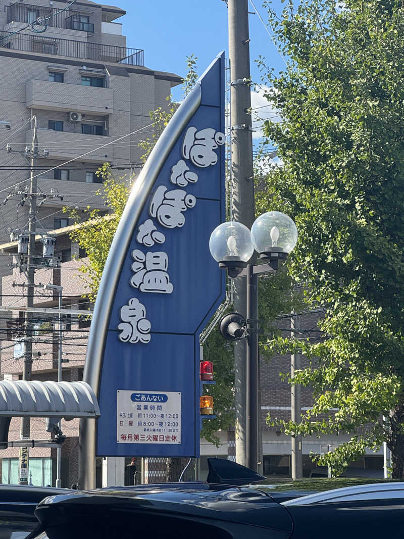 サウナ中毒さんのぽかぽか温泉 新守山乃湯のサ活写真