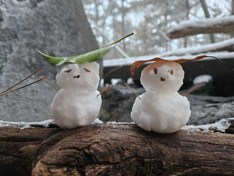 ぴちさんの湯宿 季の庭のサ活写真