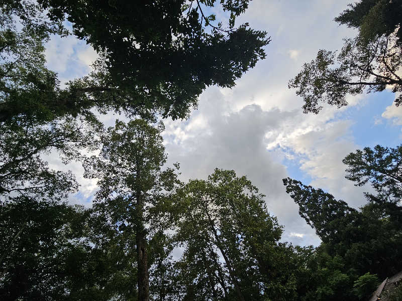ぴちさんのThe Saunaのサ活写真