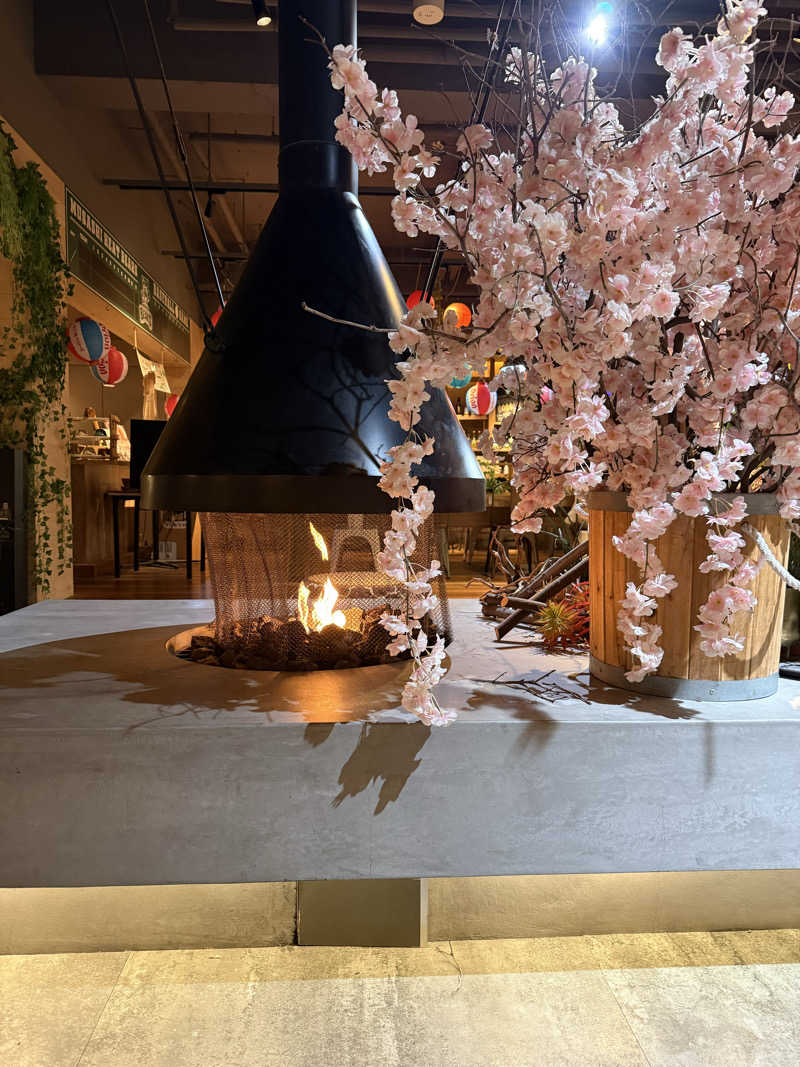 nnasatocean926さんのおふろcafé ハレニワの湯のサ活写真