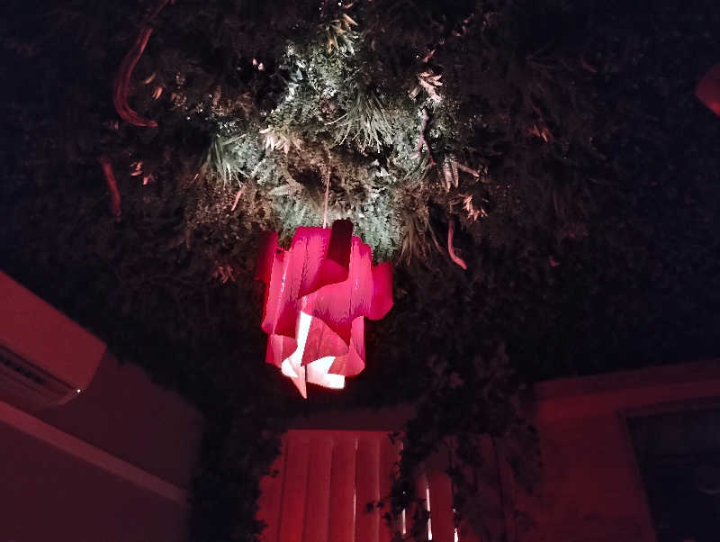 たいせいさんのSAUNA402のサ活写真